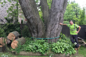 Higher Place Tree Care photo 6