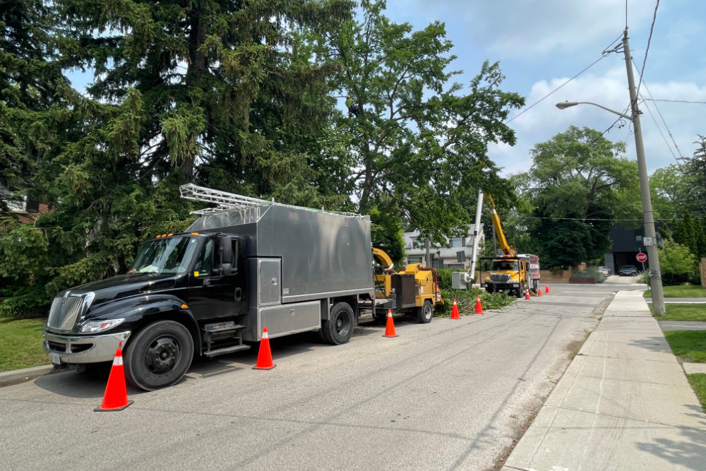 Professional arborist equipment